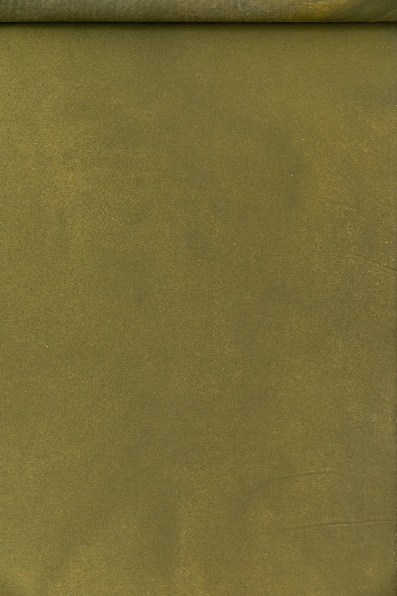Autumn Moss #0543 Small Hand-Painted Canvas Backdrop