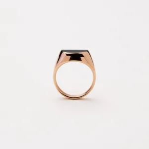 Duality Half Ring