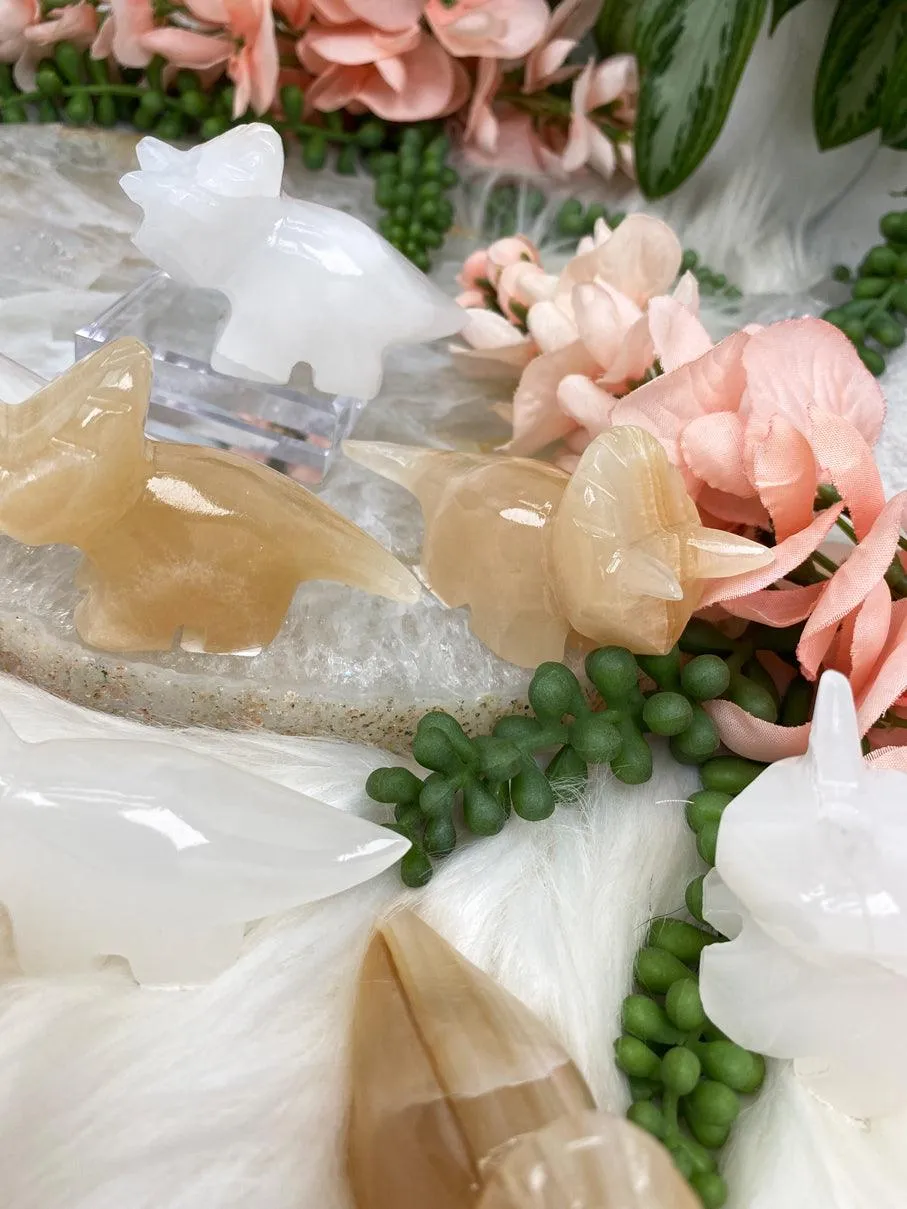 Onyx Triceratops Crystals