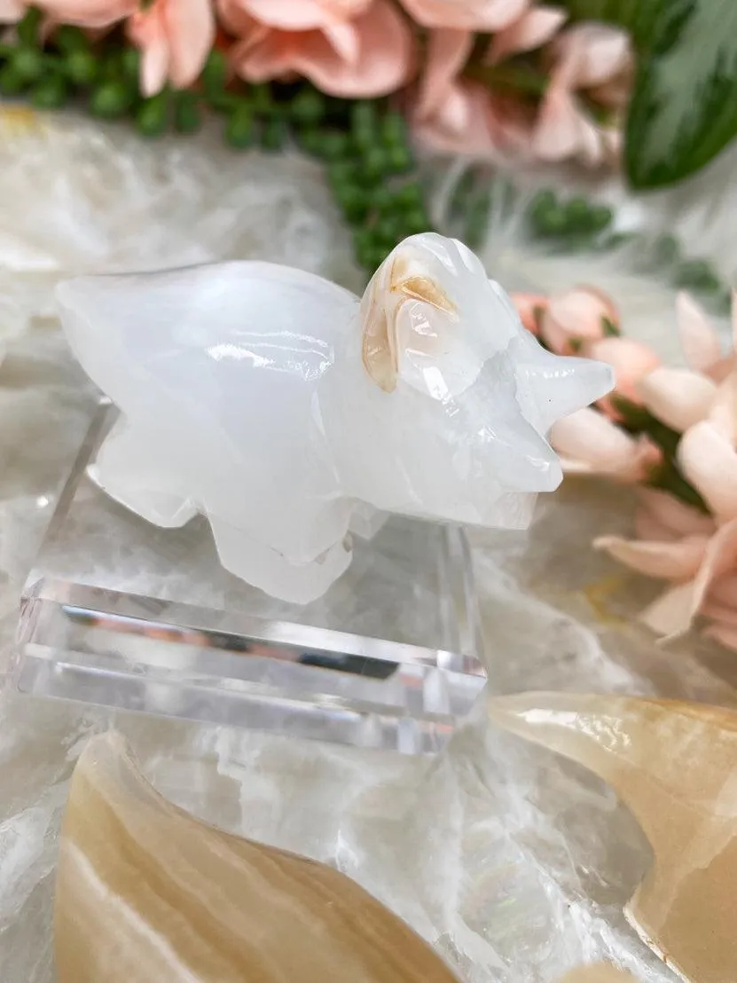 Onyx Triceratops Crystals