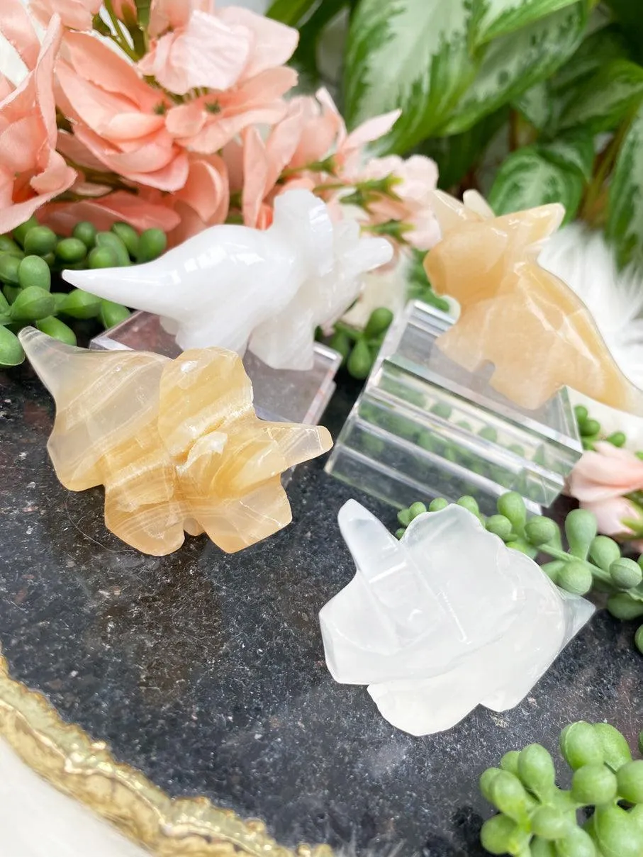 Onyx Triceratops Crystals