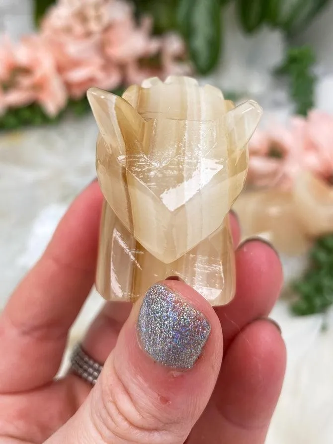 Onyx Triceratops Crystals