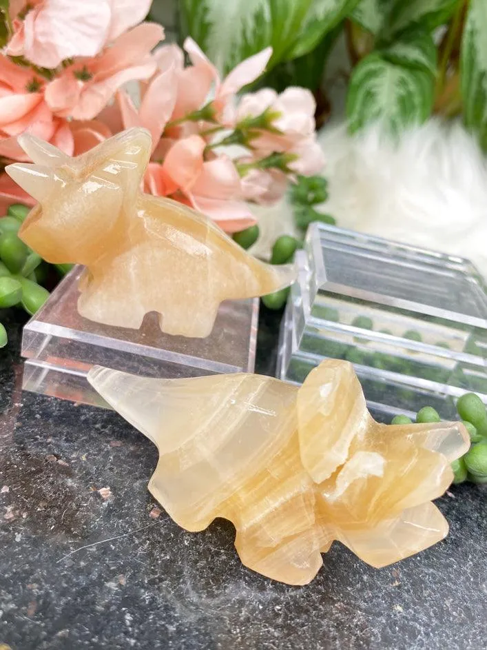 Onyx Triceratops Crystals