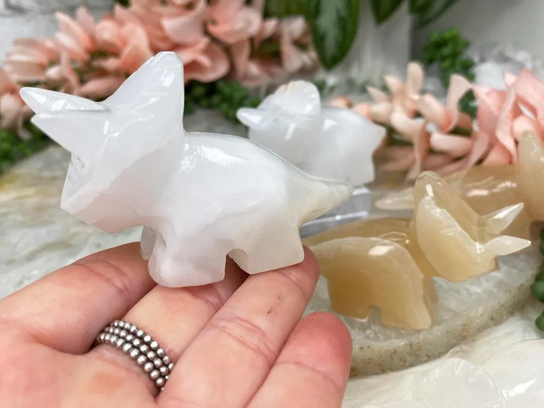 Onyx Triceratops Crystals