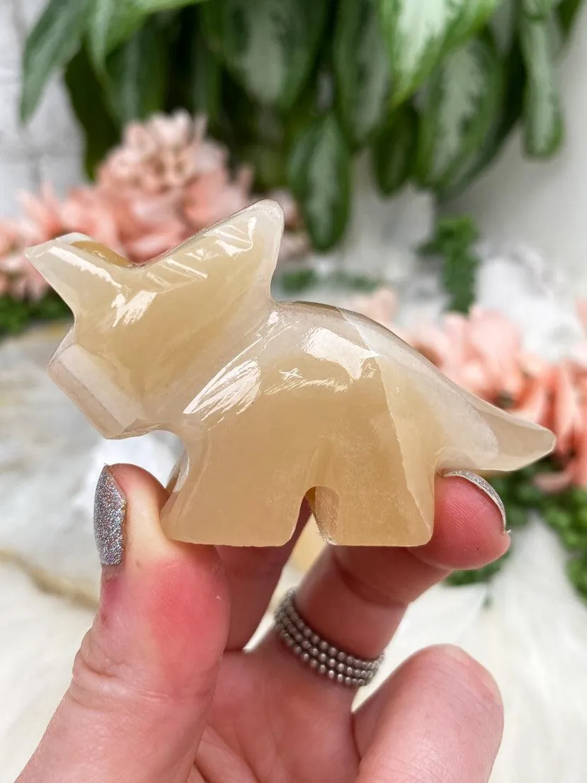 Onyx Triceratops Crystals