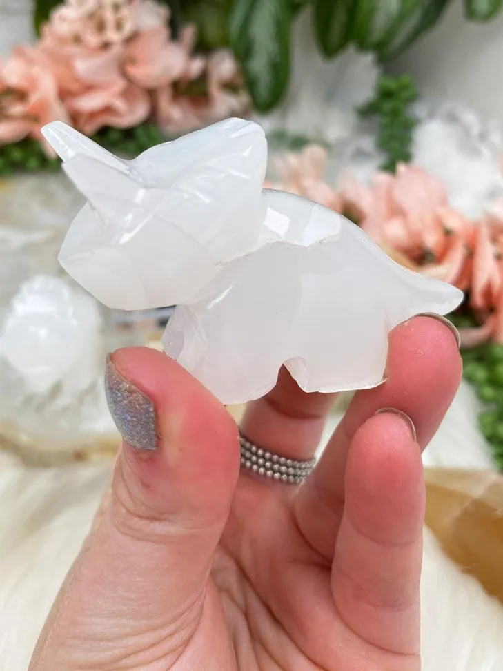 Onyx Triceratops Crystals