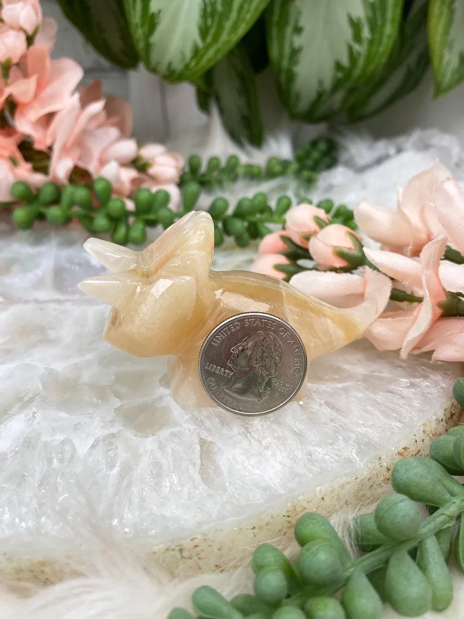 Onyx Triceratops Crystals