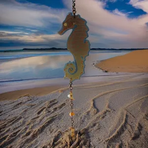 Seahorse - Home decor